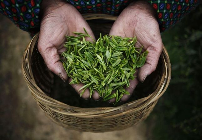 A handful of tea leaves